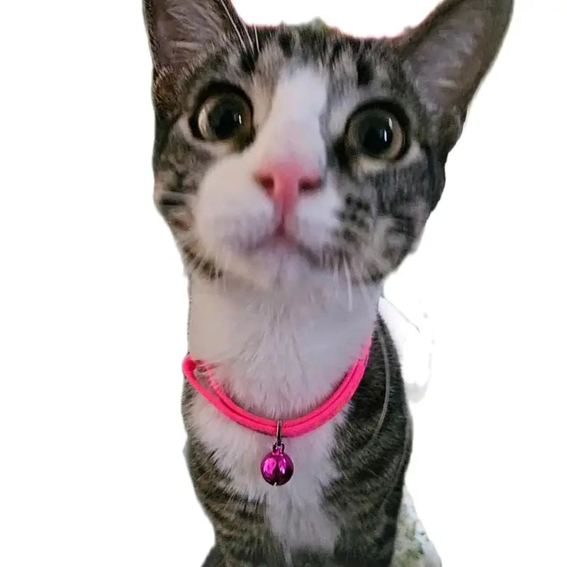 Adjustable Pink Cat Collar - Stylish Neck Accessory for Pets