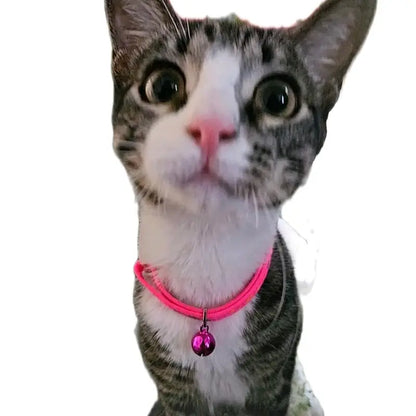 Adjustable Pink Cat Collar - Stylish Neck Accessory for Pets