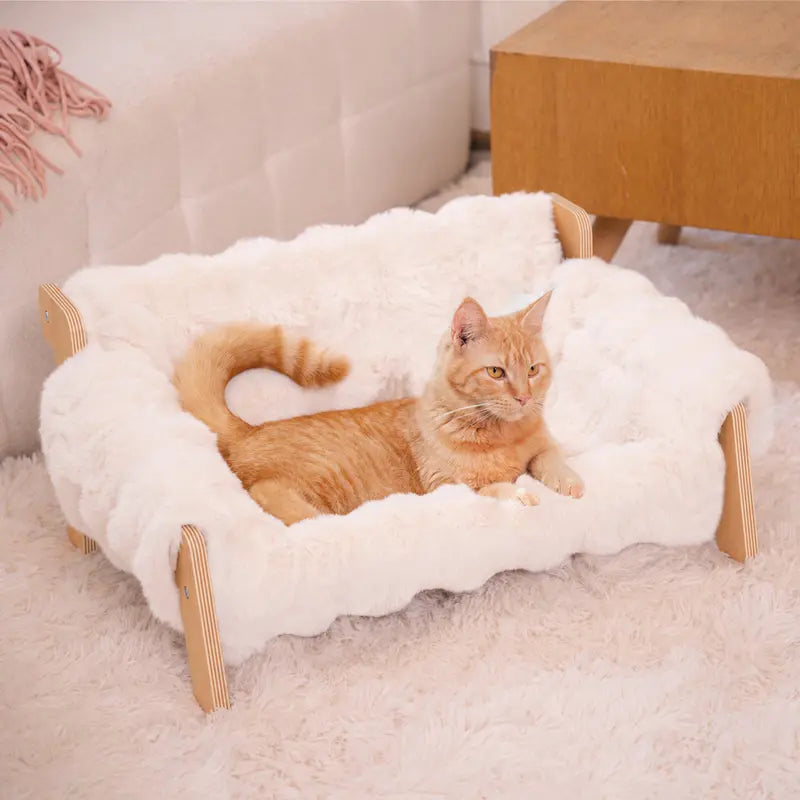 Elevated Pet Sofa Bed for Indoor Cats and Small Dogs - Durable Wooden Frame with Removable, Machine-Washable Cushion, Contemporary Pet Lounge Chair
