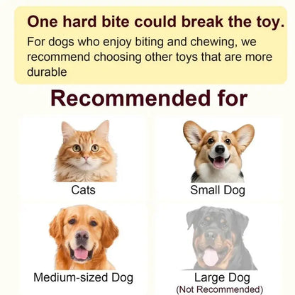 Interactive Rechargeable Ball Toy for Cats and Dogs with Bird Chirping Sound, Smart Motion Sensor, Chew-Resistant Design, and Ultra-Quiet Operation - Ideal Anti-Depression Gift and Multi-Surface Compatibility