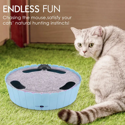 Interactive Automatic Cat Toy - 4-Hole Electric Whack-A-Mole with Adjustable Speed Mouse, Engaging Pop-And-Play Hide-and-Seek, Fulfills Natural Hunting Instincts, 1.5V 3AA Battery Operated, 11.5 x 9.25 x 0.12 Inches