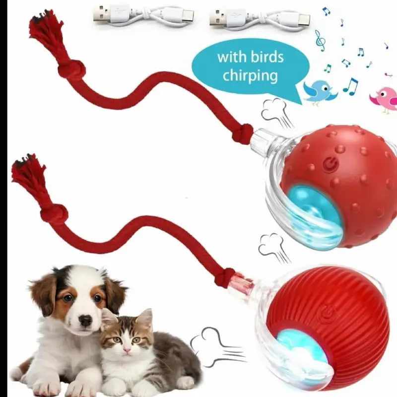Interactive Rechargeable Ball Toy for Cats and Dogs with Bird Chirping Sound, Smart Motion Sensor, Chew-Resistant Design, and Ultra-Quiet Operation - Ideal Anti-Depression Gift and Multi-Surface Compatibility
