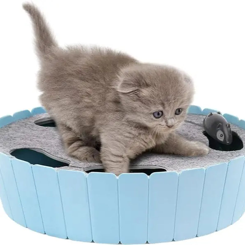 Interactive Automatic Cat Toy - 4-Hole Electric Whack-A-Mole with Adjustable Speed Mouse, Engaging Pop-And-Play Hide-and-Seek, Fulfills Natural Hunting Instincts, 1.5V 3AA Battery Operated, 11.5 x 9.25 x 0.12 Inches