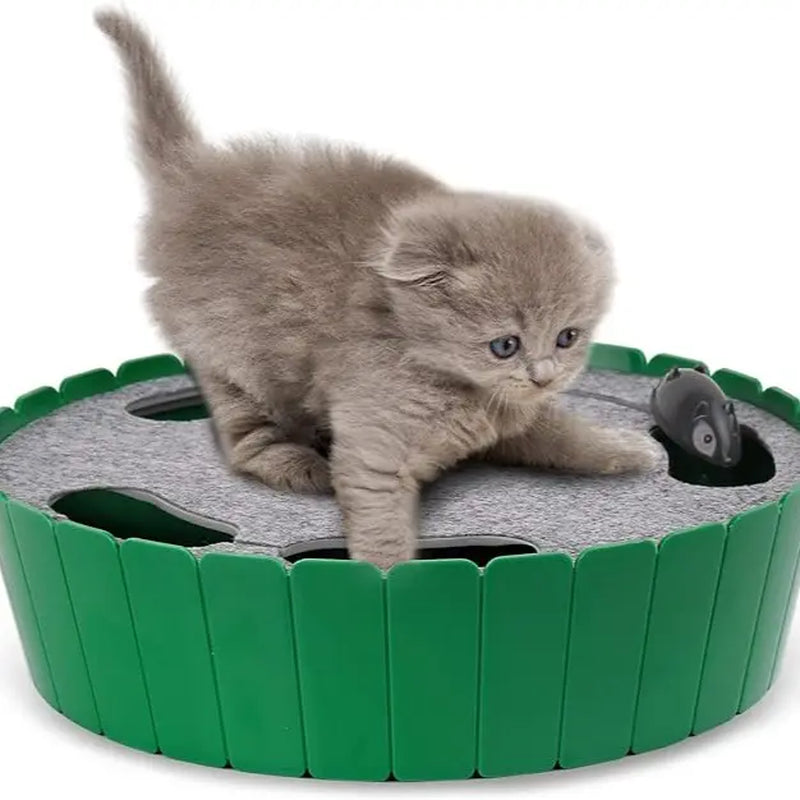 Interactive Automatic Cat Toy - 4-Hole Electric Whack-A-Mole with Adjustable Speed Mouse, Engaging Pop-And-Play Hide-and-Seek, Fulfills Natural Hunting Instincts, 1.5V 3AA Battery Operated, 11.5 x 9.25 x 0.12 Inches