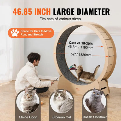 VEVOR 52" Solid Wooden Cat Exercise Wheel - Large Treadmill with Detachable Carpet, Teaser, Stable Base, Noise Reduction, Includes Gloves & Screwdriver, Ideal for Indoor Feline Training, Supports Up to 30 Lbs, Non-Scratch Mat