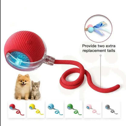 Interactive Rechargeable Ball Toy for Cats and Dogs with Bird Chirping Sound, Smart Motion Sensor, Chew-Resistant Design, and Ultra-Quiet Operation - Ideal Anti-Depression Gift and Multi-Surface Compatibility